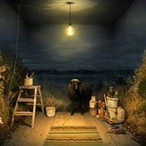 westley_hanson avatar