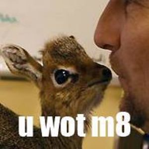 guitar_chick133 avatar