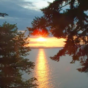 cherylfontaine avatar