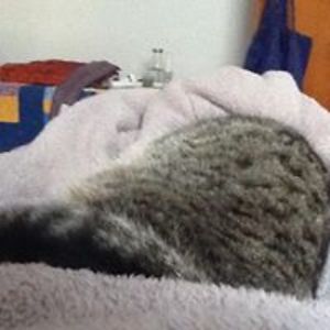 theoriginalmelanie avatar