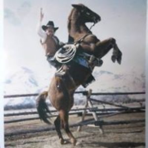 suntannedhero avatar