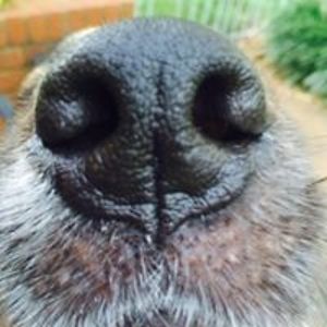 Andrea_McManus avatar