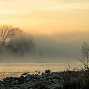 nanettecordell avatar