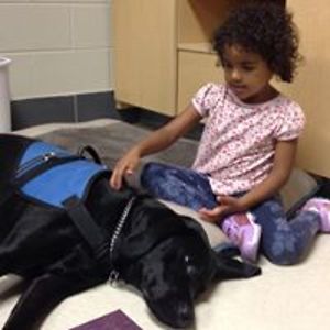 lisaprettypetals avatar