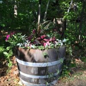 kim_powers321 avatar