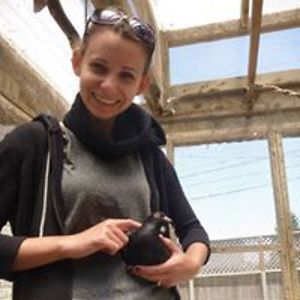 rachelsavageau avatar