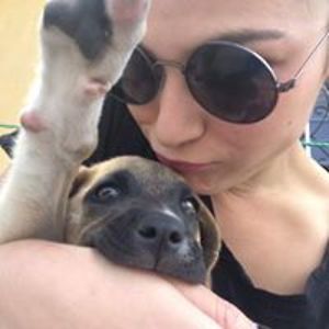 lamija_bander avatar