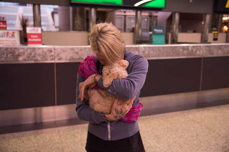 I Rescued A 2-Legged Stray Dog That Spent 10 Painful Years On The Streets