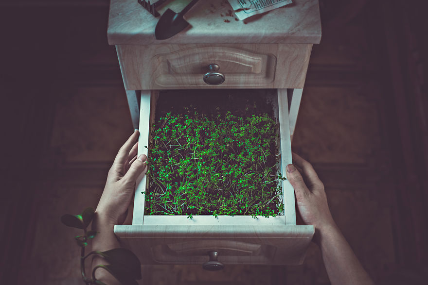 My Little Photo-Tribute To Wes Anderson Films My Little Photo-Tribute To Wes Anderson Films