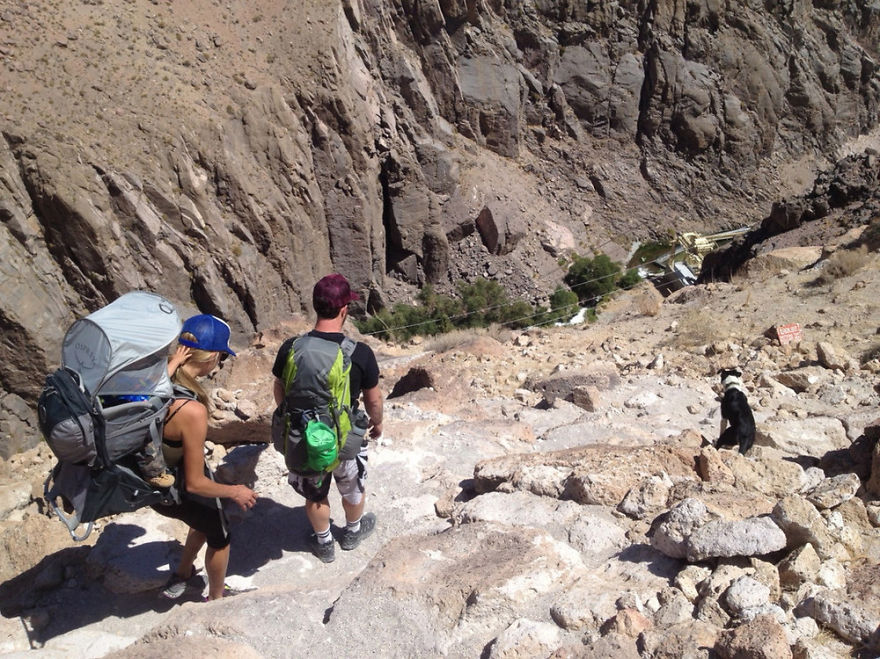 Before Turning 2 Years Old, Bodhi Hiked More Than 483 Km With His Parents Before Turning 2 Years Old, Bodhi Hiked More Than 483 Km With His Parents