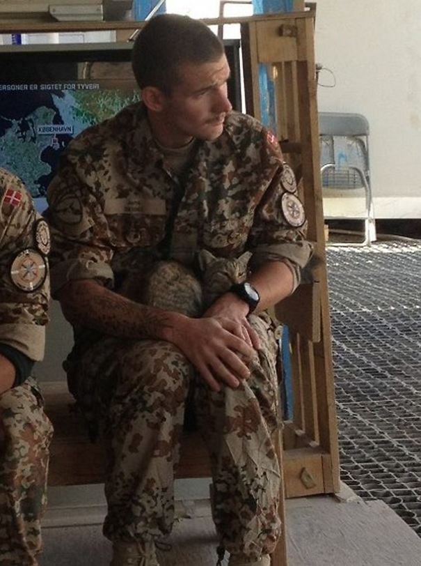 My Best Buddies In Camp Price, Afghanistan