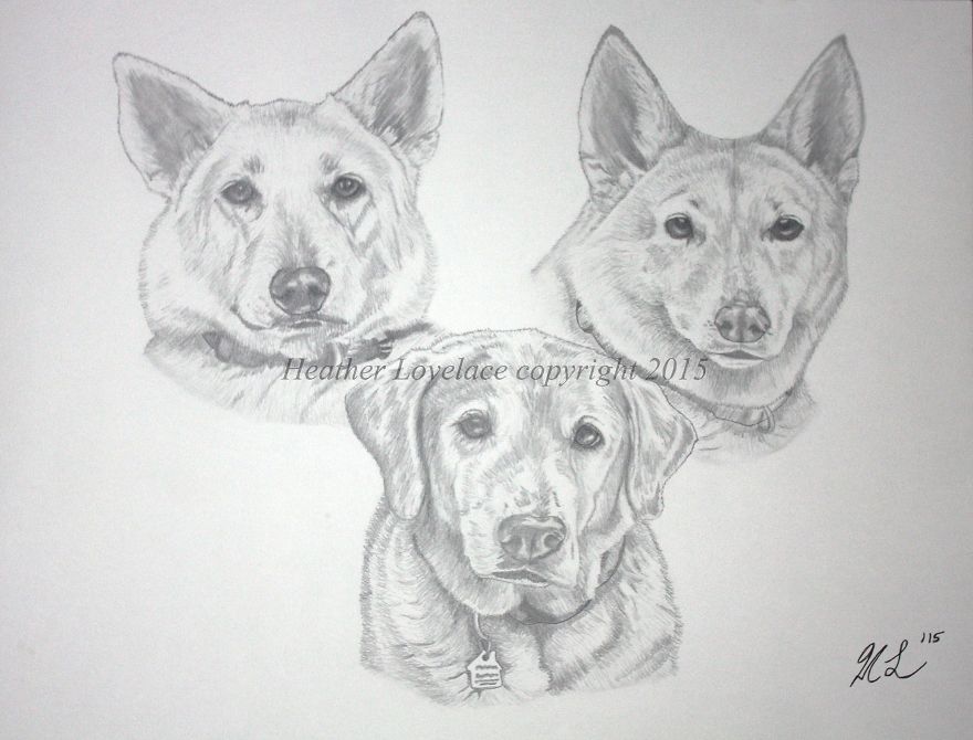 I Draw Custom Pet Portraits In Pencil