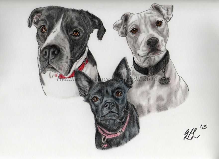 I Draw Custom Pet Portraits In Pencil