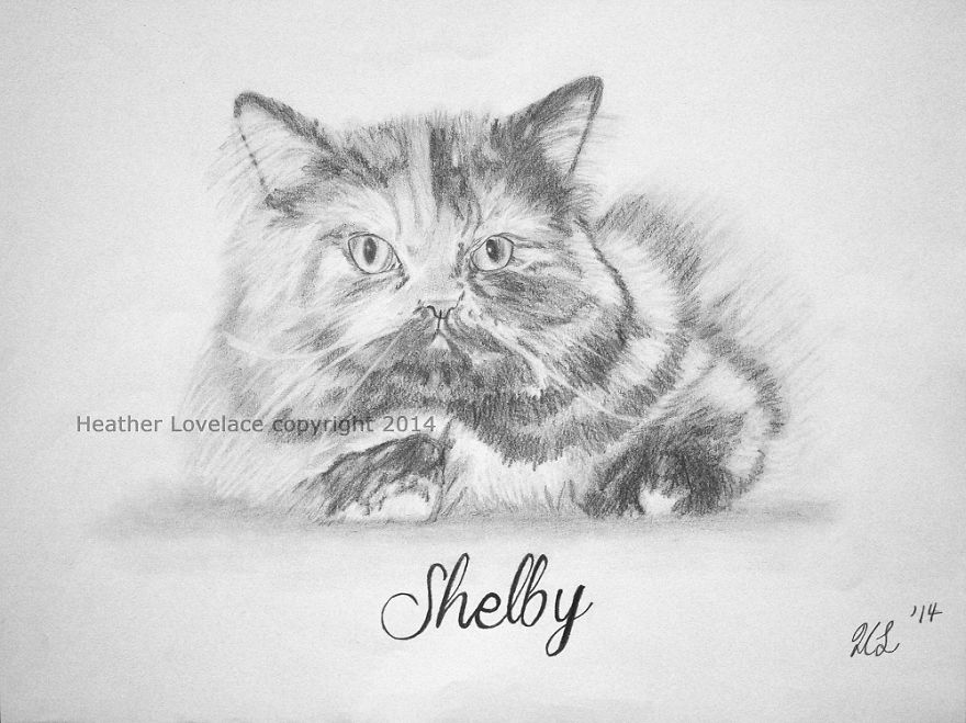 I Draw Custom Pet Portraits In Pencil