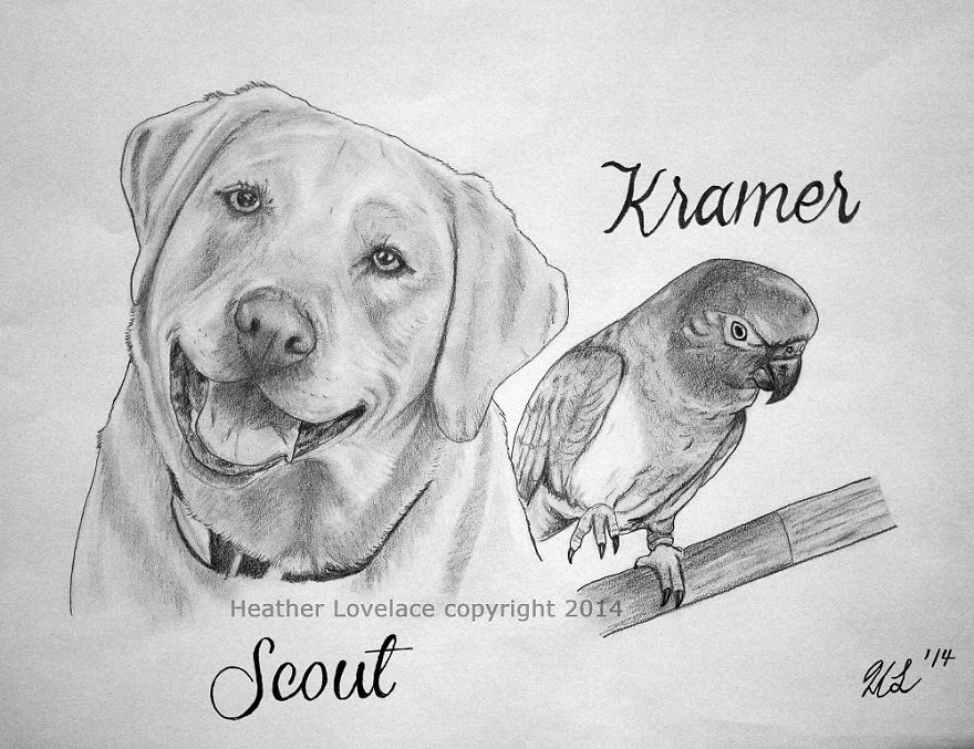 I Draw Custom Pet Portraits In Pencil