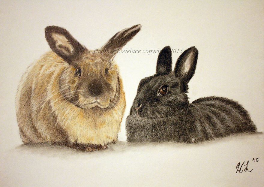 I Draw Custom Pet Portraits In Pencil