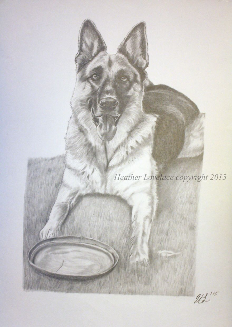 I Draw Custom Pet Portraits In Pencil