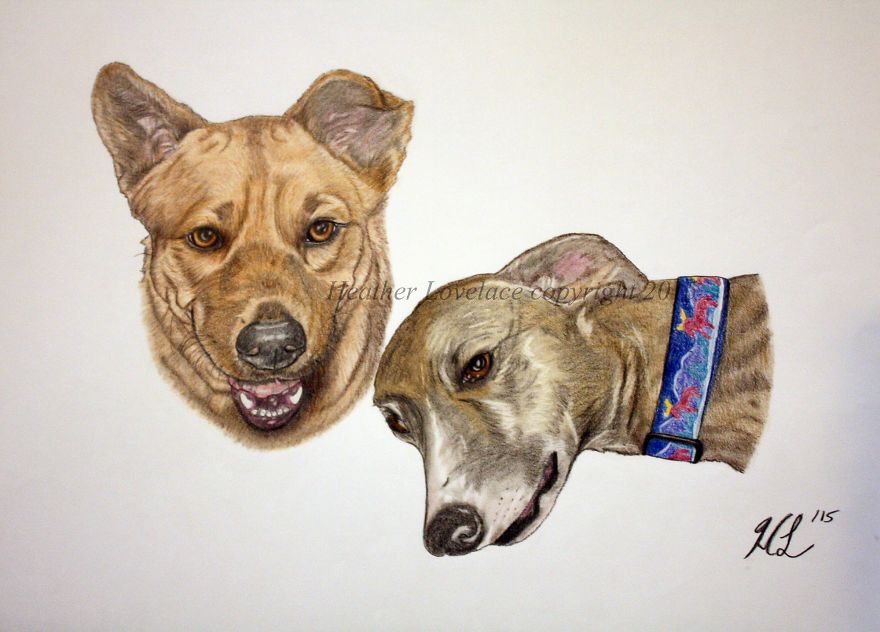 I Draw Custom Pet Portraits In Pencil