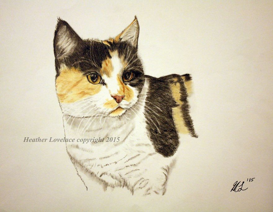 I Draw Custom Pet Portraits In Pencil I Draw Custom Pet Portraits In Pencil