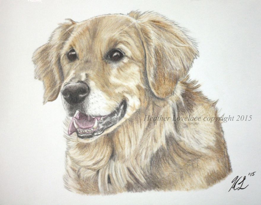 I Draw Custom Pet Portraits In Pencil