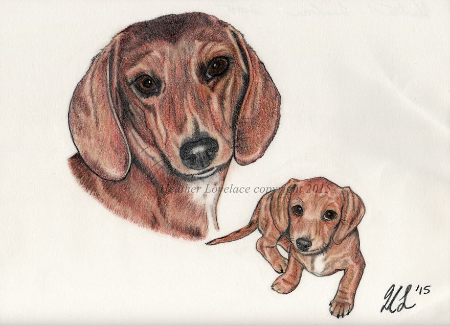I Draw Custom Pet Portraits In Pencil