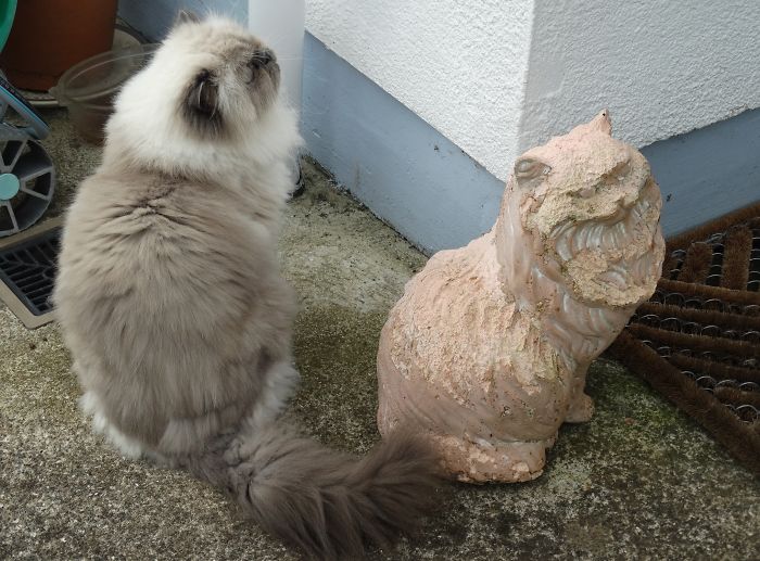 Confused With His Mini-me