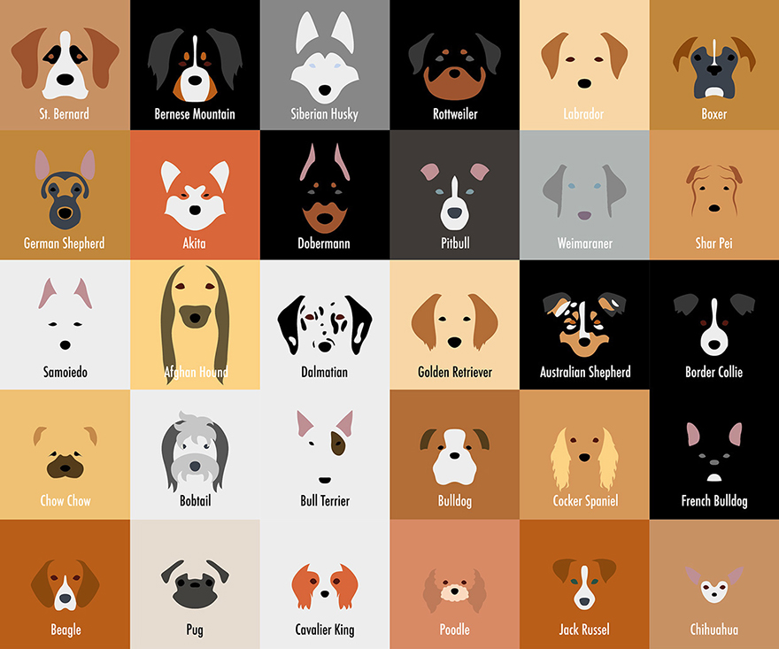 I Make Minimalist Illustrations Of Various Dog Breeds I Make Minimalist Illustrations Of Various Dog Breeds