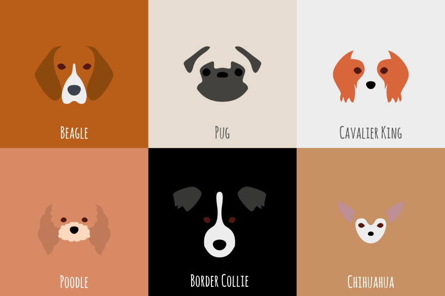 I Make Minimalist Illustrations Of Various Dog Breeds