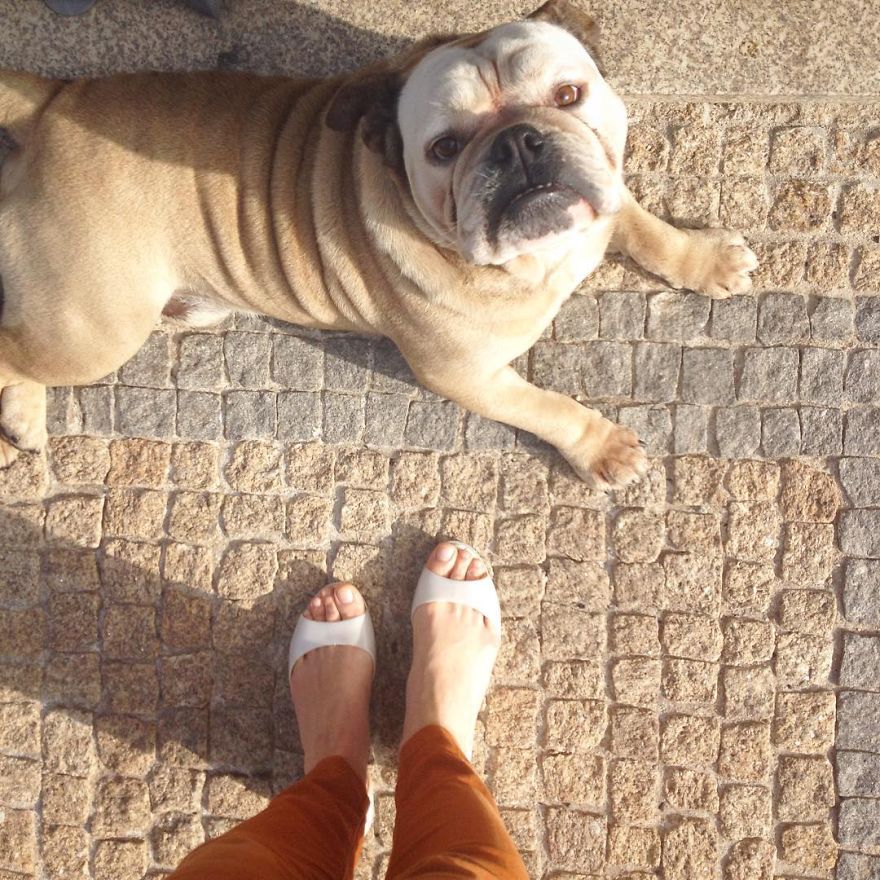 Portuguese Architect, Ballet Teacher And Illustrator Captures Her Life From Above Portuguese Architect, Ballet Teacher And Illustrator Captures Her Life From Above