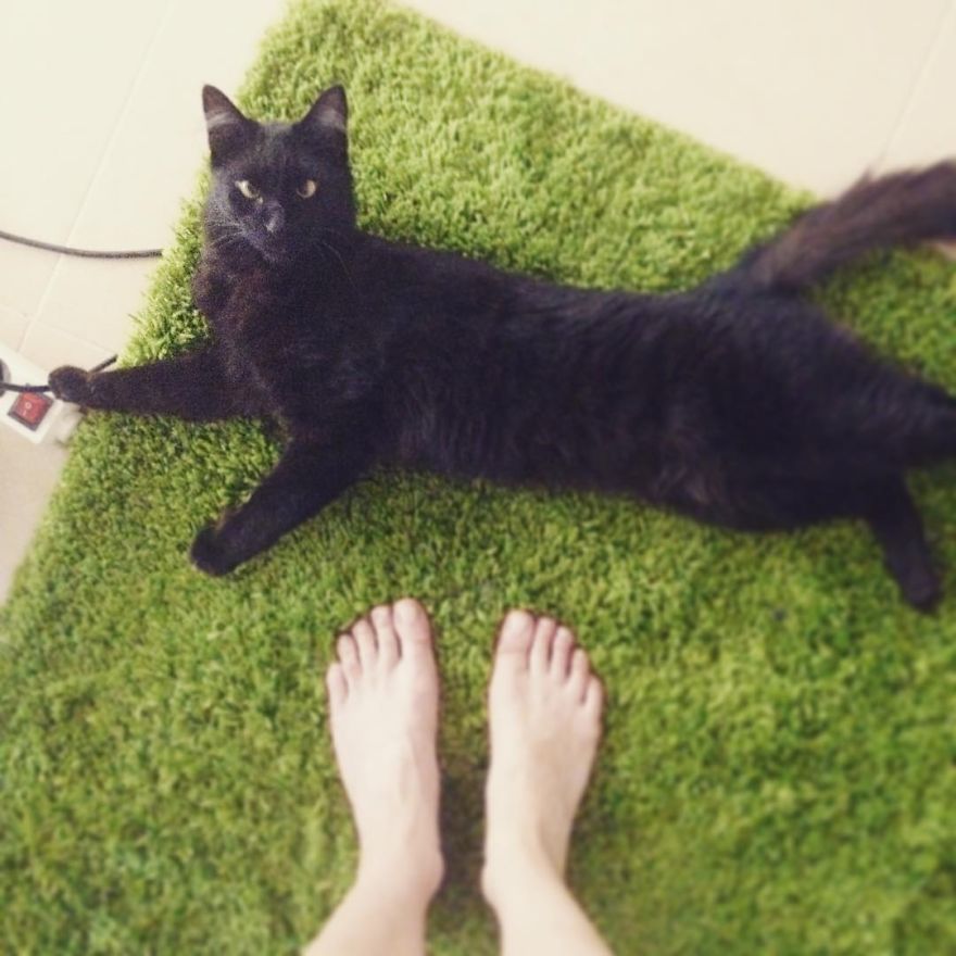 Portuguese Architect, Ballet Teacher And Illustrator Captures Her Life From Above