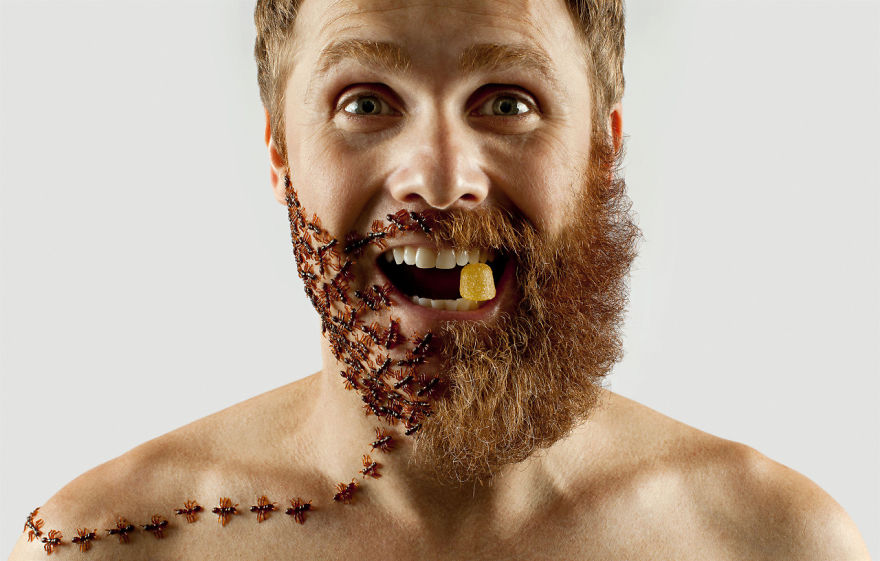Artist Completes His Half-shaved Hipster Beard With Random Objects Artist Completes His Half-shaved Hipster Beard With Random Objects