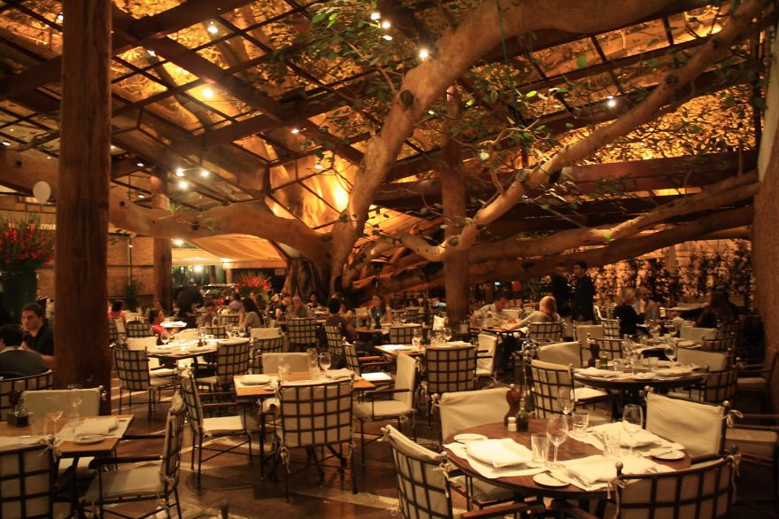 Fig Tree @ Brazilian Steakhouse