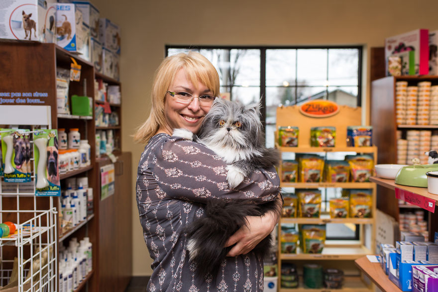 We Travel Around The U.s. Photographing Celebrity Cats And Their Caretakers We Travel Around The U.s. Photographing Celebrity Cats And Their Caretakers