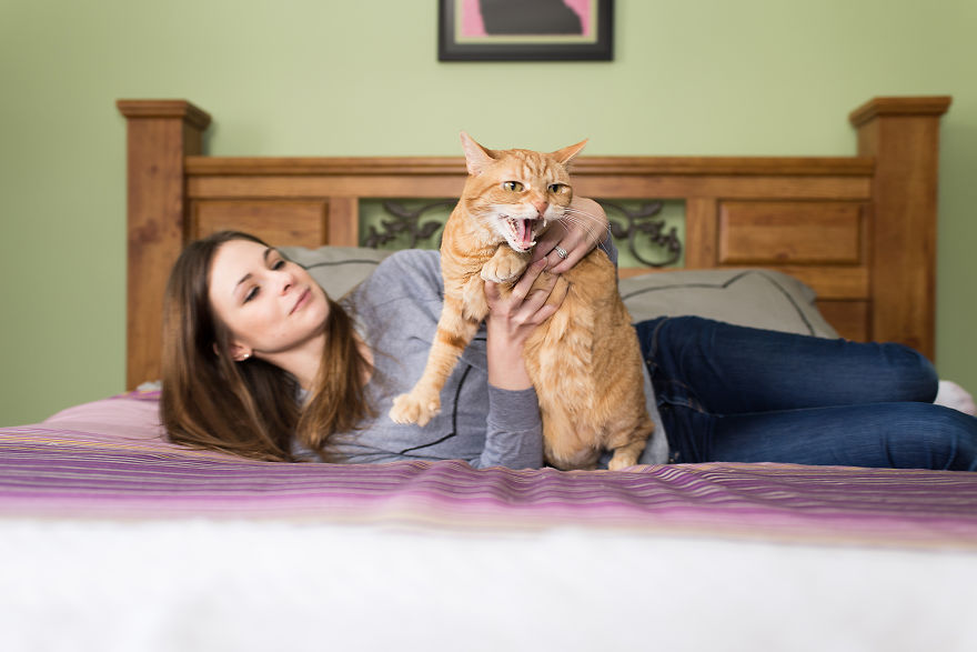 We Travel Around The U.s. Photographing Celebrity Cats And Their Caretakers We Travel Around The U.s. Photographing Celebrity Cats And Their Caretakers