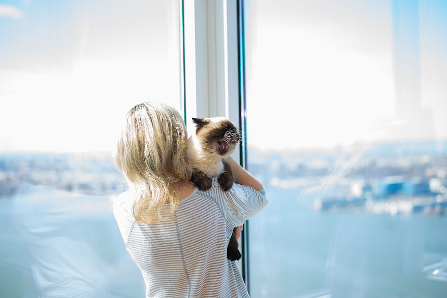 We Travel Around The U.s. Photographing Celebrity Cats And Their Caretakers We Travel Around The U.s. Photographing Celebrity Cats And Their Caretakers