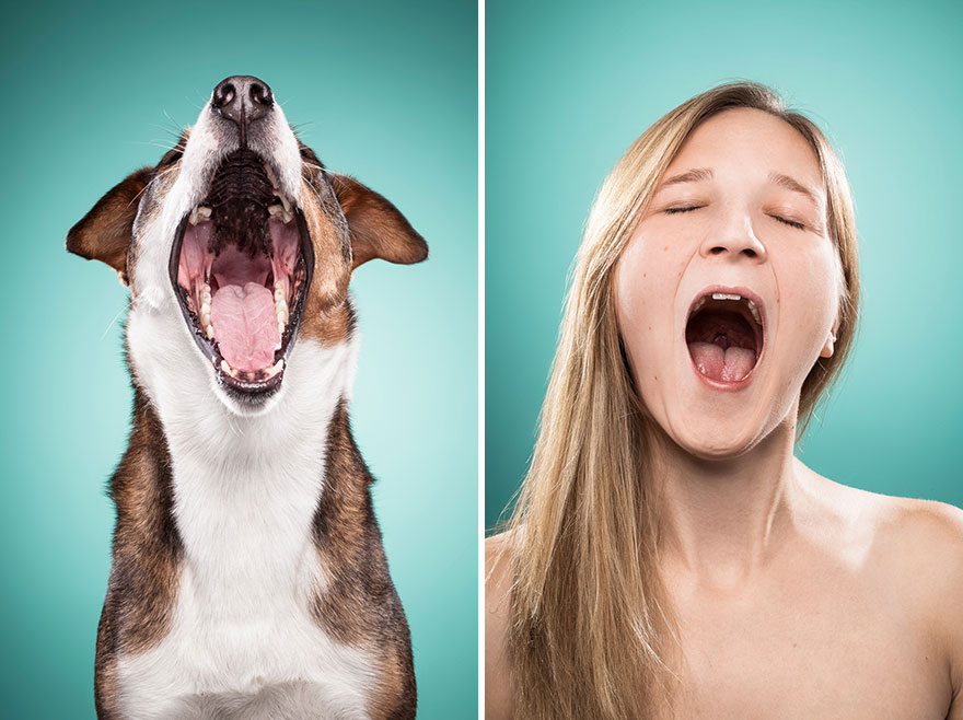 Like Owner, Like Dog: I Capture Dog Owners Mimicking Their Best Friends Like Owner, Like Dog: I Capture Dog Owners Mimicking Their Best Friends