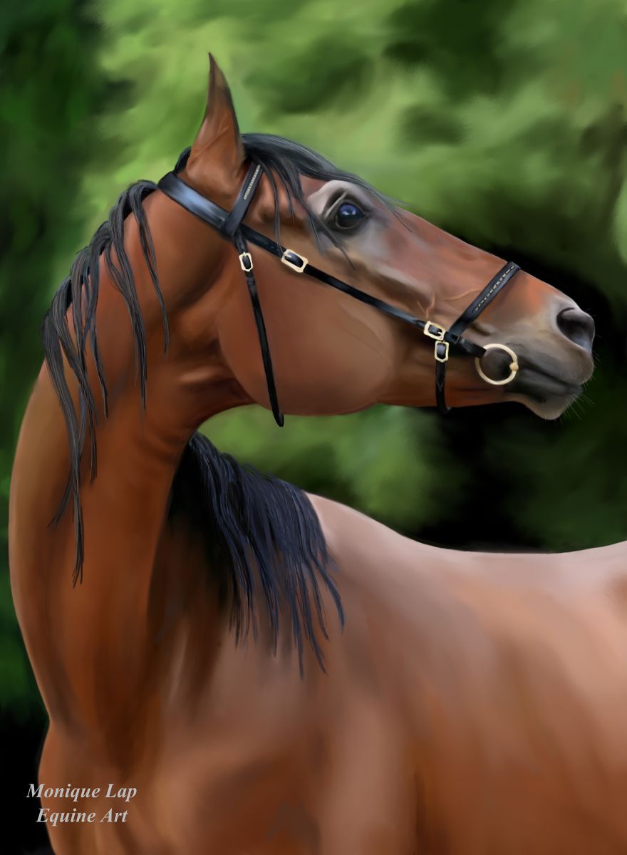 I Create Digital Horse Paintings