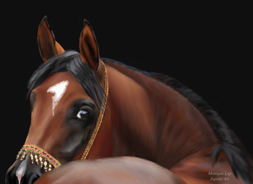 I Create Digital Horse Paintings I Create Digital Horse Paintings