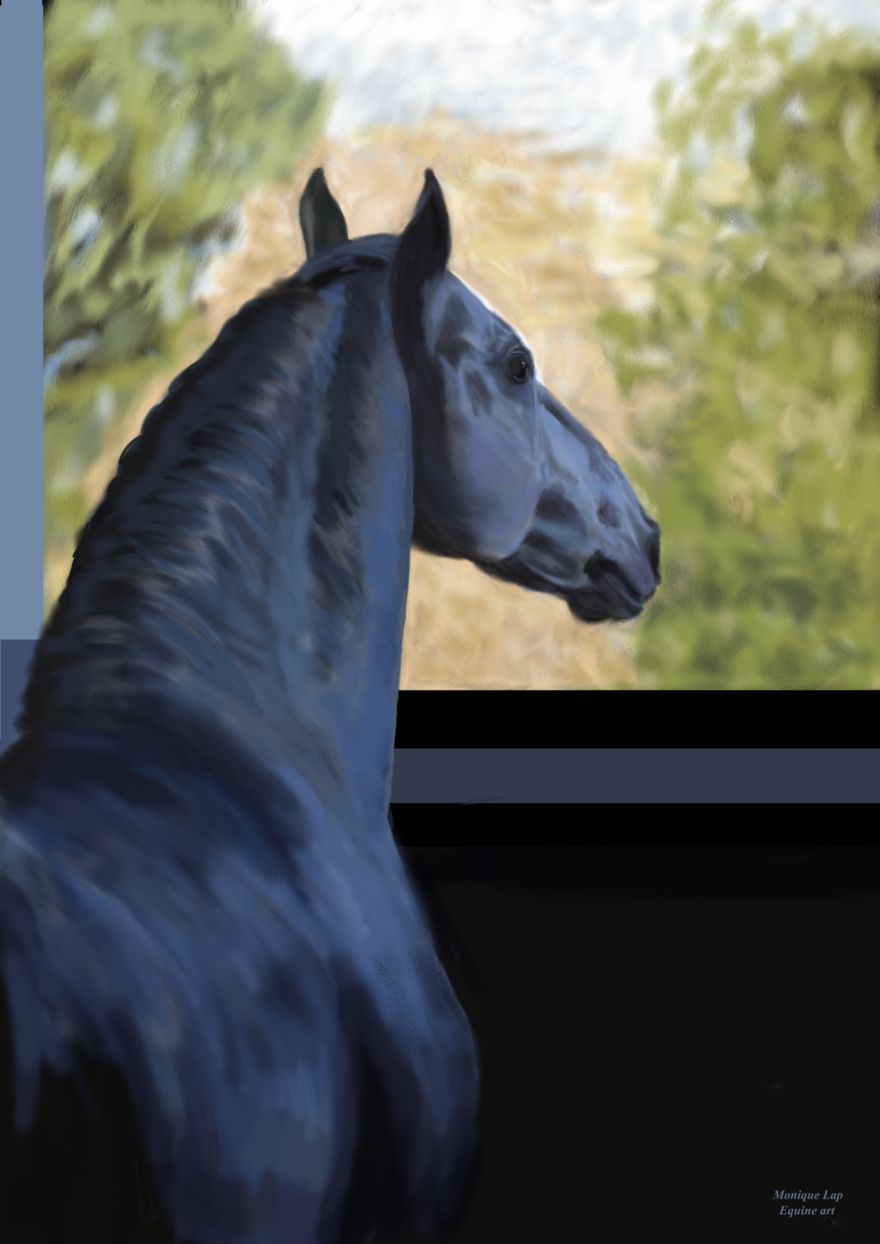 I Create Digital Horse Paintings I Create Digital Horse Paintings