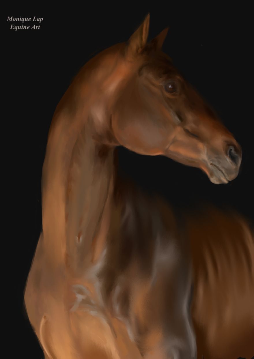 I Create Digital Horse Paintings I Create Digital Horse Paintings