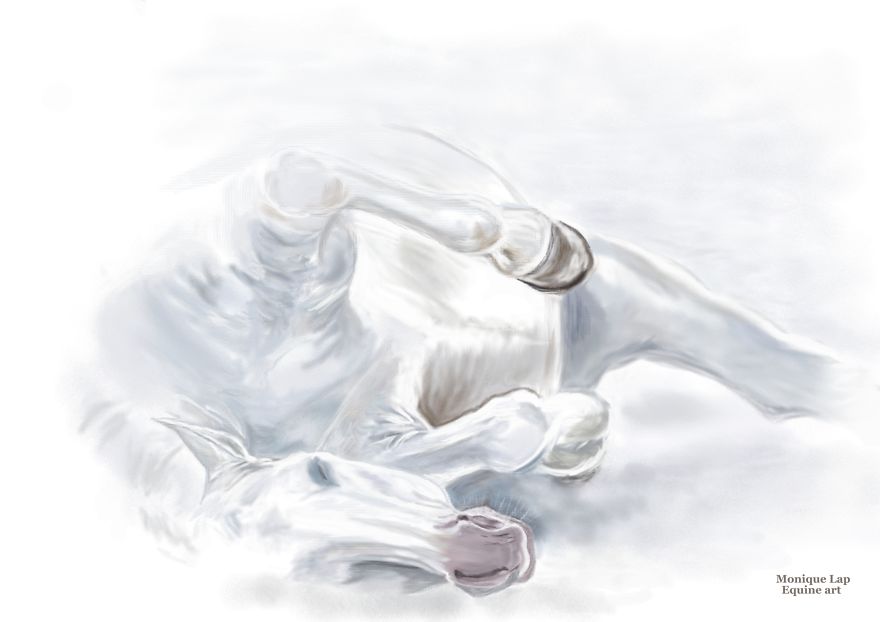 I Create Digital Horse Paintings