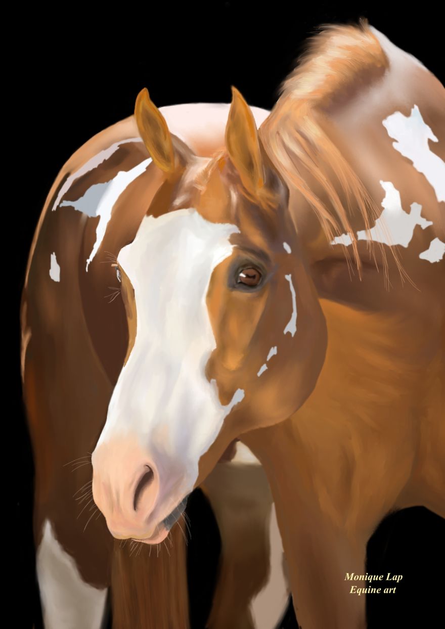 I Create Digital Horse Paintings I Create Digital Horse Paintings