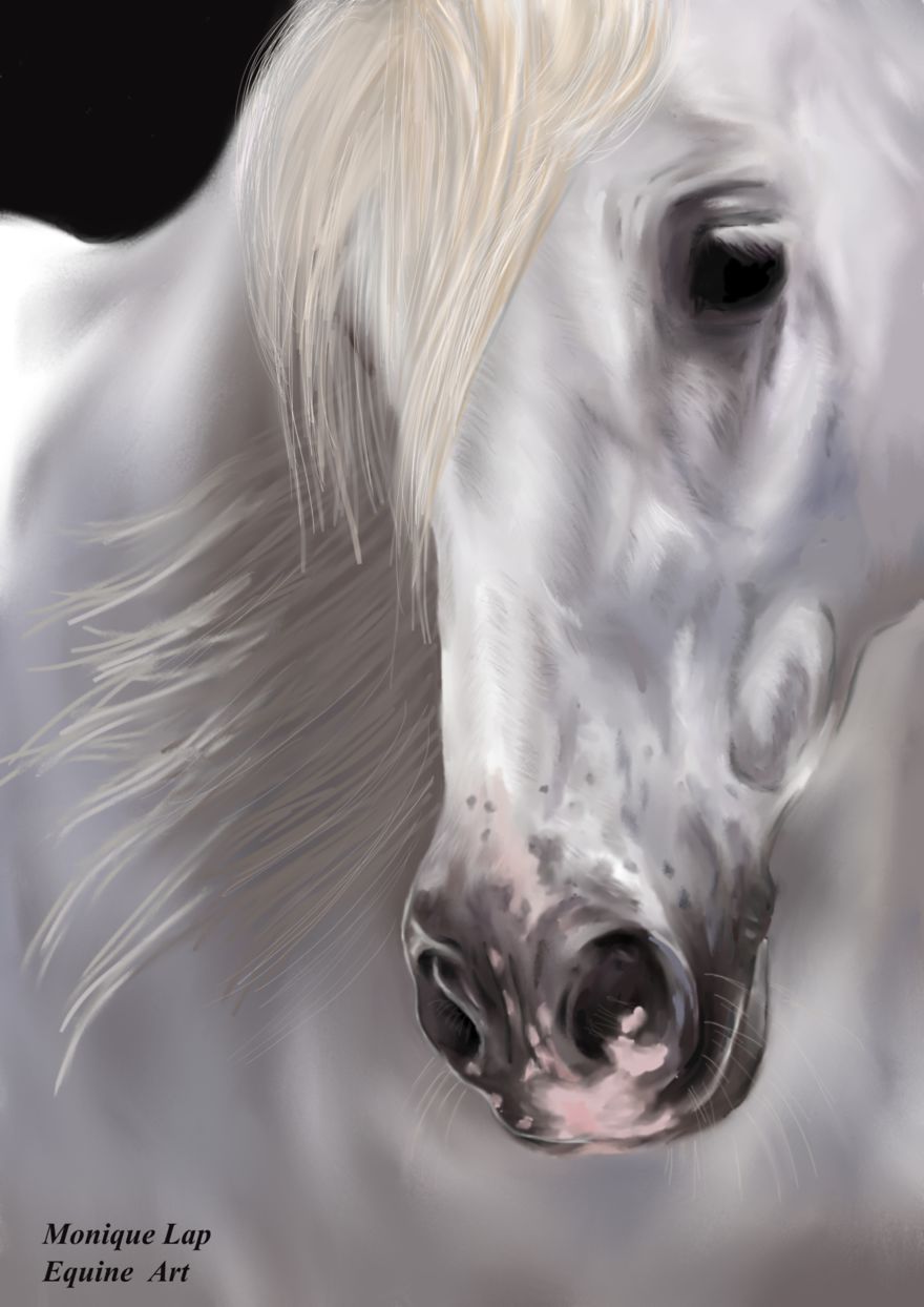 I Create Digital Horse Paintings I Create Digital Horse Paintings