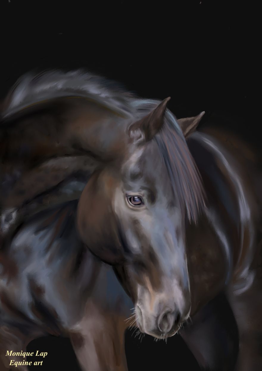 I Create Digital Horse Paintings I Create Digital Horse Paintings