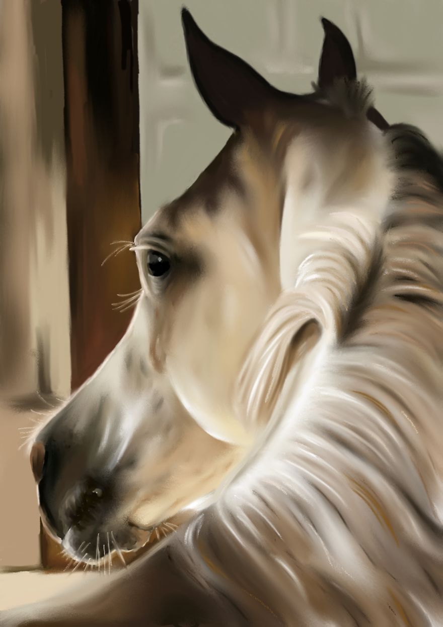 I Create Digital Horse Paintings