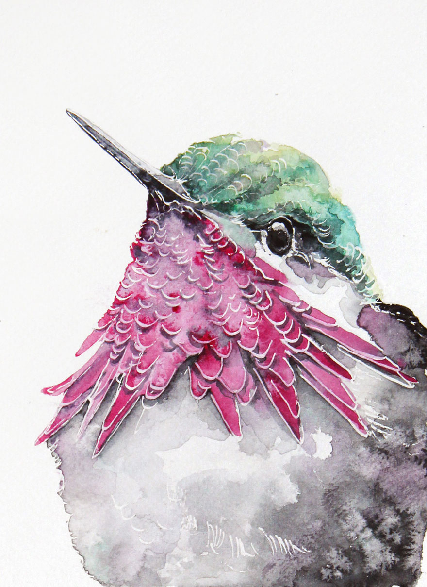 I'm An Architect And I Escape Urban World By Watercoloring Birds