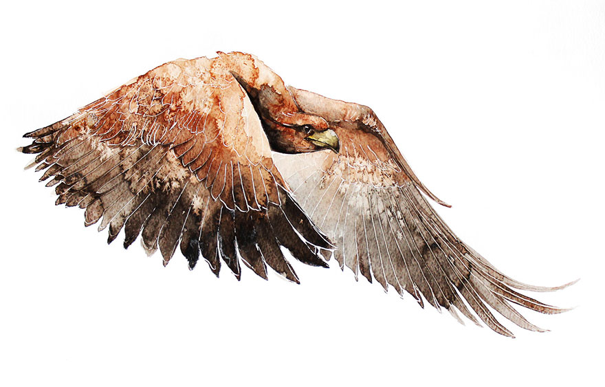 I'm An Architect And I Escape Urban World By Watercoloring Birds