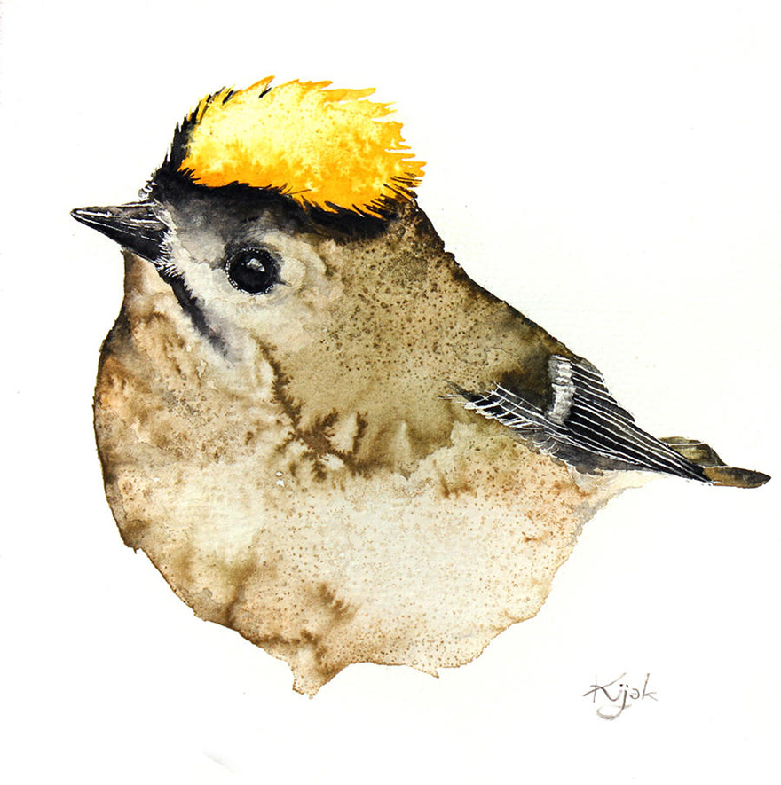 I'm An Architect And I Escape Urban World By Watercoloring Birds