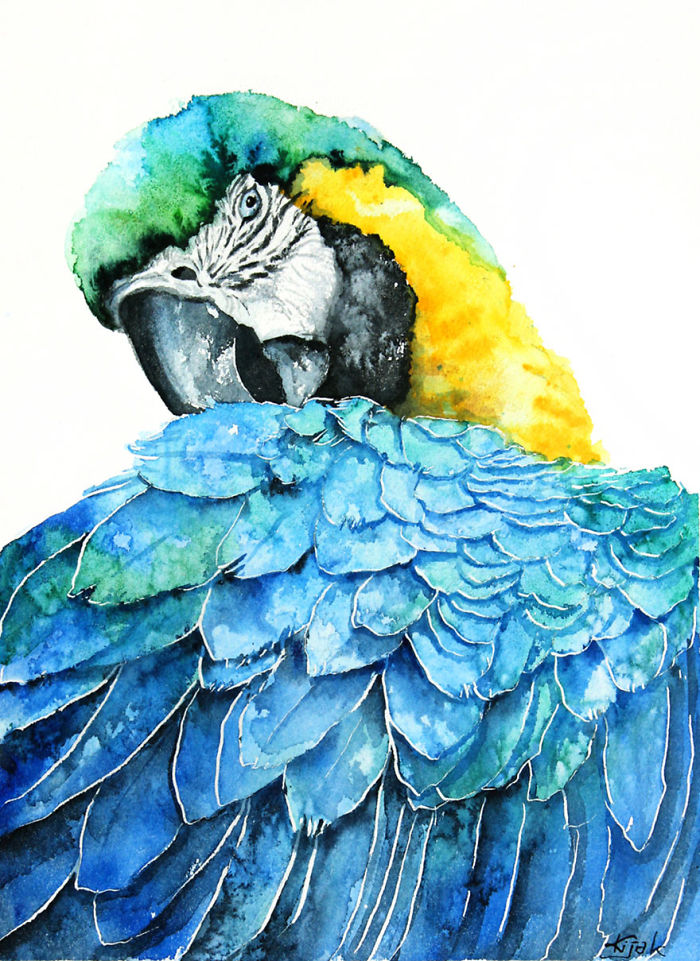 I’m An Architect And I Escape Urban World By Watercoloring Birds