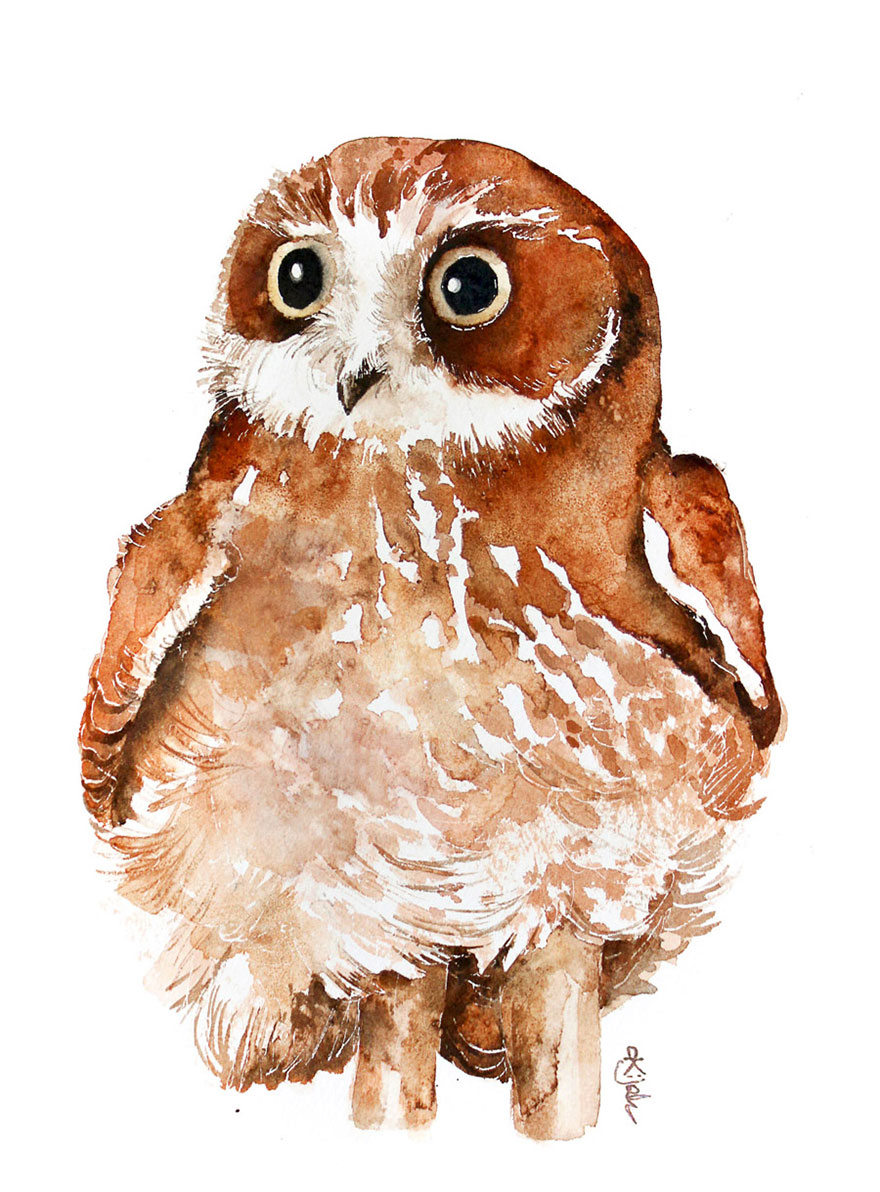 I'm An Architect And I Escape Urban World By Watercoloring Birds